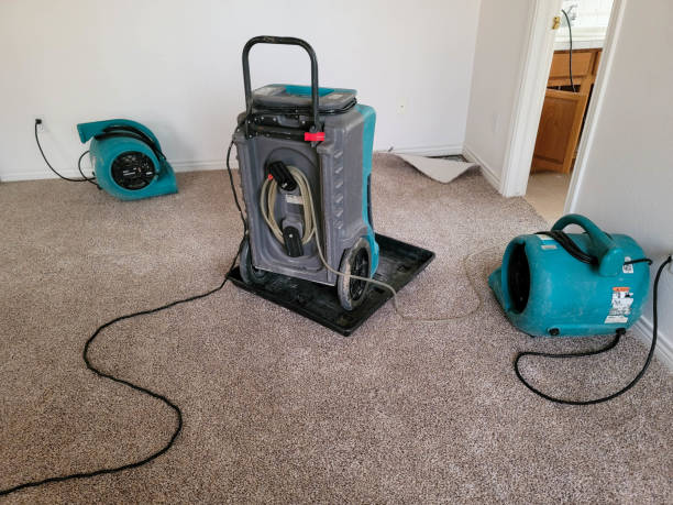 Best 24-hour water damage restoration  in Candler Mcafee, GA
