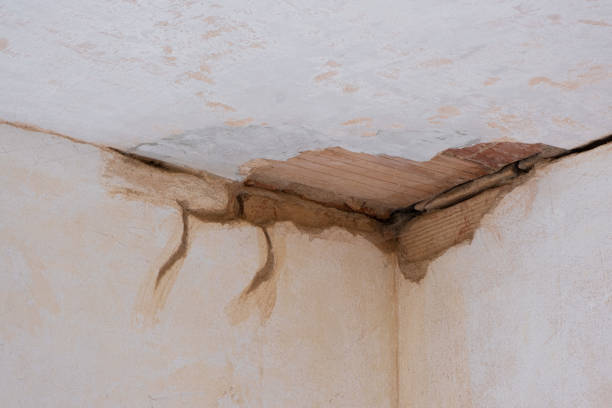 24/7 water damage repair in Candler Mcafee, GA