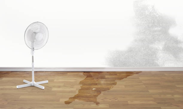 Best Sewage cleanup and water damage restoration  in Candler Mcafee, GA