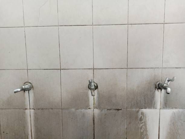 Best Water damage restoration near me  in Candler Mcafee, GA
