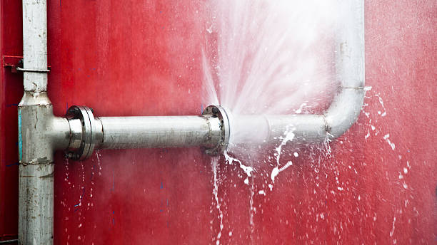 Best Flooded house restoration  in Candler Mcafee, GA